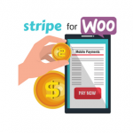 woocommerce stripe payment gateway