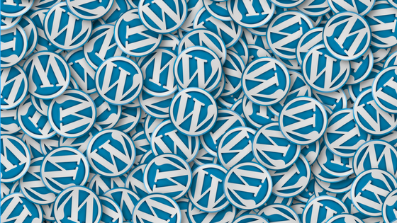 WordPress plugin directory has an abundant number of plugins; choosing the ones most useful for you is crucial