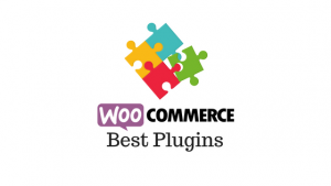 40+ Best WooCommerce Plugins For 2024 - LearnWoo