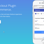 Flux Checkout