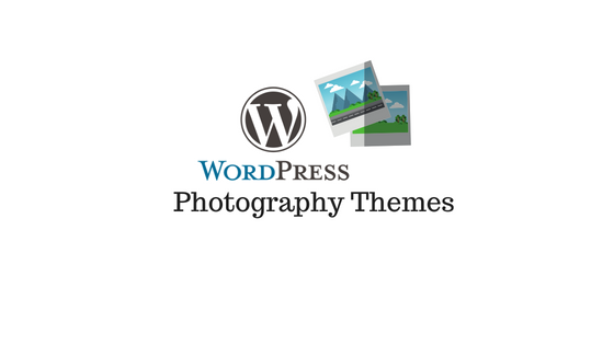 Header image for WordPress photography themes