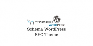Header image of Schema WordPress SEO Theme
