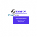 Header image for Kinsta, Managed WordPress Hosting Service Review