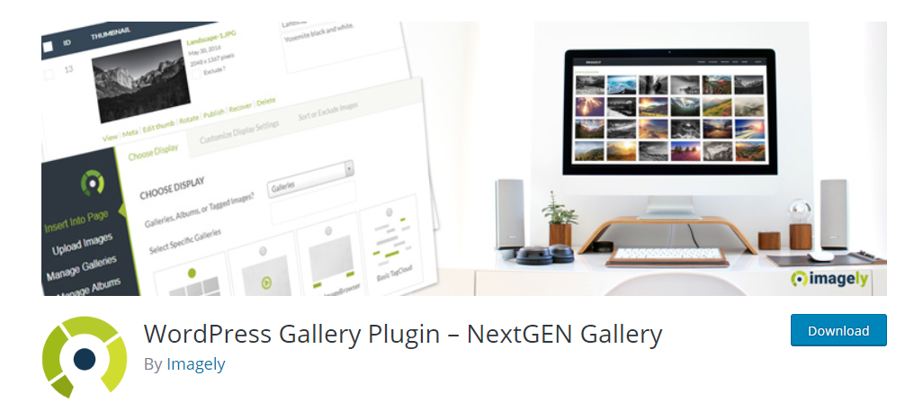screenshot of NextGEN Gallery for WordPress Portfolio plugins article
