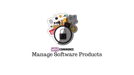 header image for Software Products WooCommerce article