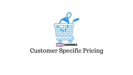 header image for Customer specific pricing plugins
