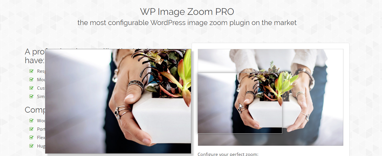 8 Best WooCommerce Image Zoom Plugins (2024) - LearnWoo