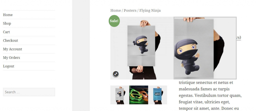 WooCommerce Image Zoom Plugins