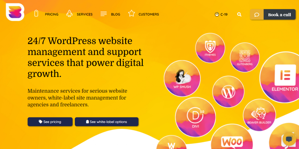 WordPress Maintenance Service Providers