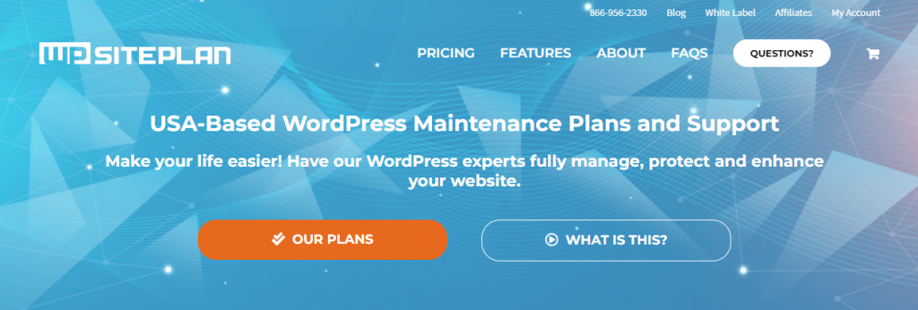 WordPress Maintenance Service Providers