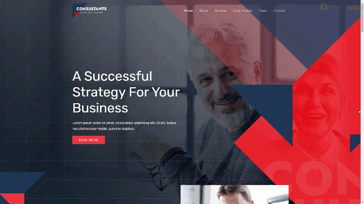 online consulting website homepage