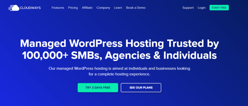 Fully Managed WordPress Hosting Services