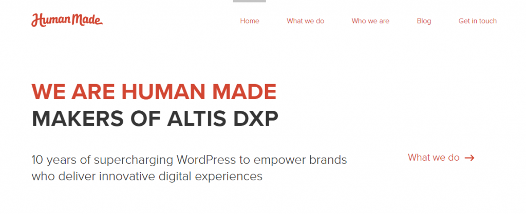 WordPress Plugin Development Companies