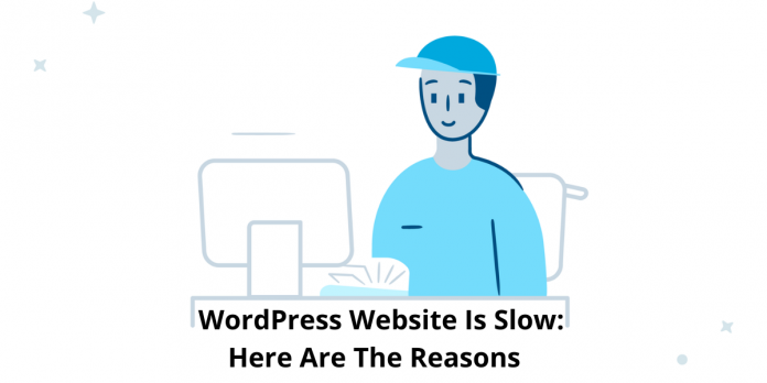 WordPress Website Slow