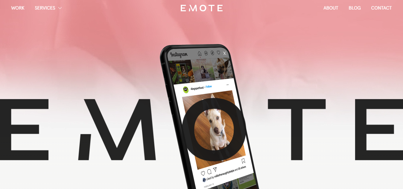 Emote Digital - LearnWoo