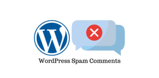 WordPress Spam Comments
