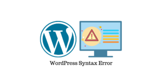WordPress Syntax Error