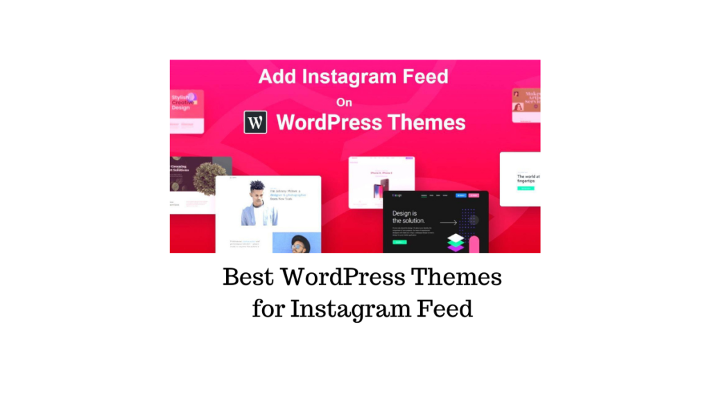 5-best-wordpress-themes-for-instagram-feed-on-your-website-learnwoo