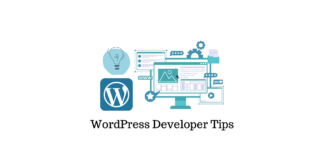 Tips To Become A WordPress Developer
