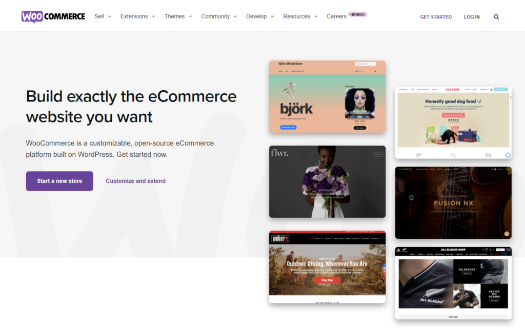 WooCommerce home page