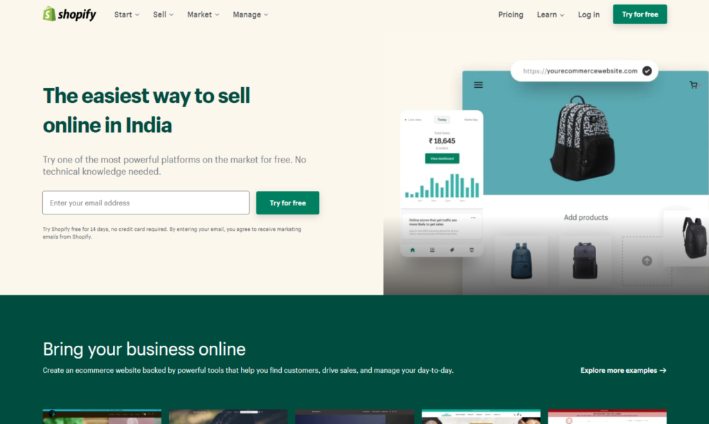 Shopify website