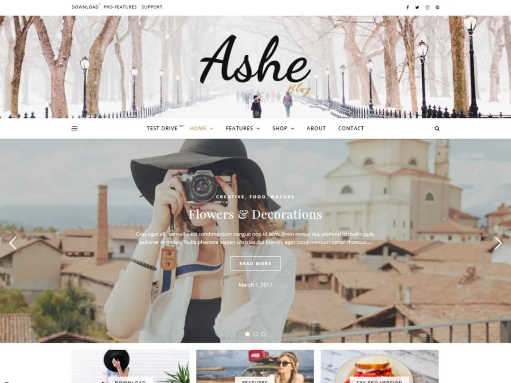 Ashe - WordPress theme