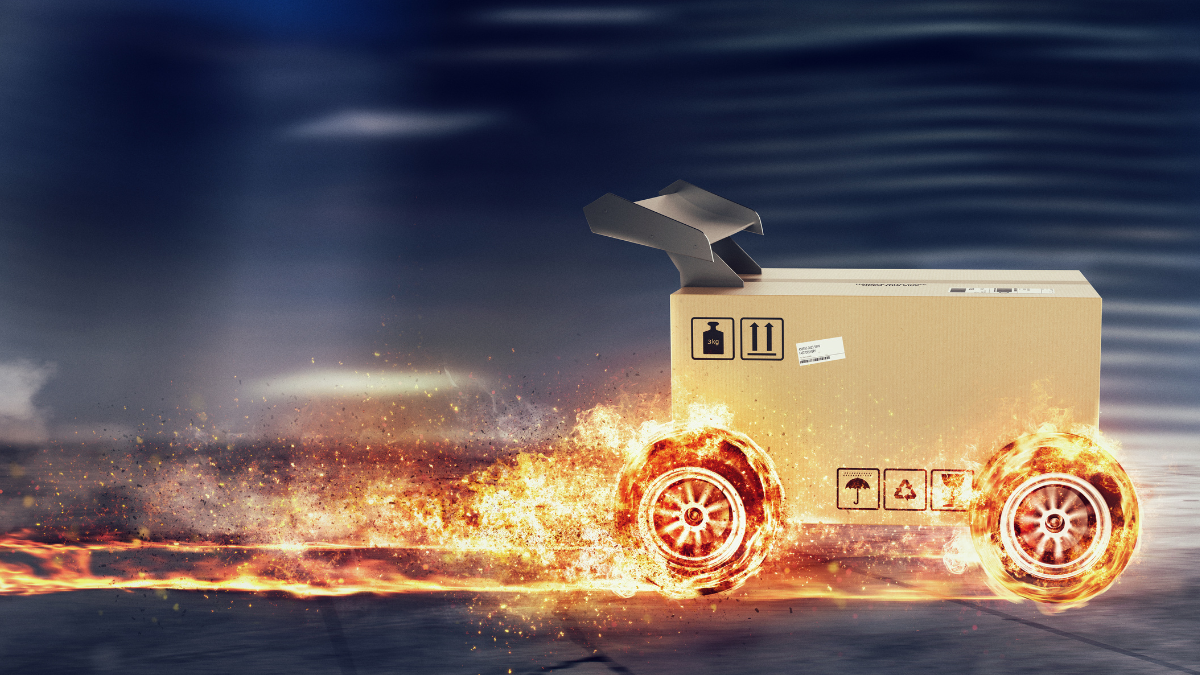 fast shipping LearnWoo