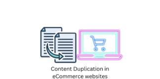 Duplicate content in eCommerce websites - LearnWoo