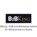 B2BKing - B2B and Wholesale Solution for WooCommerce Stores