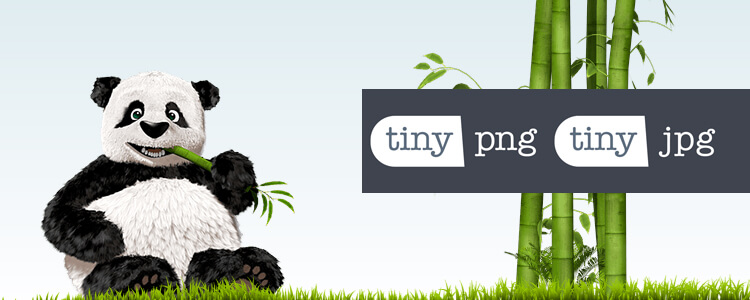 TIny png logo