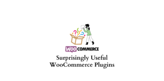 Surprisingly useful WooCommerce plugins