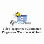 Video-supported plugins for WordPress website
