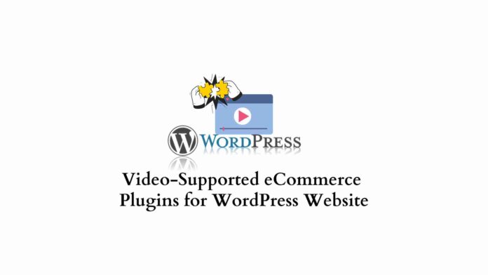 Video-supported plugins for WordPress website