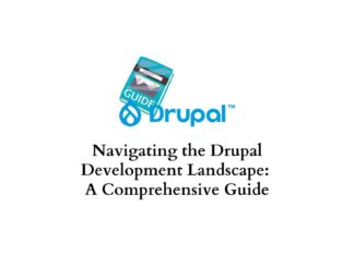 Drupal development landscape: comprehensive guide