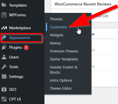 Using WordPress Theme Customizer