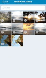 add photographs from your device or the media library