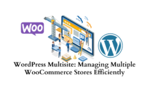 WordPress Multisite: Managing Multiple WooCommerce Stores Efficiently