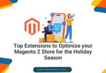 Top Extensions to Optimize Your Magento 2 Store for the Holiday Season