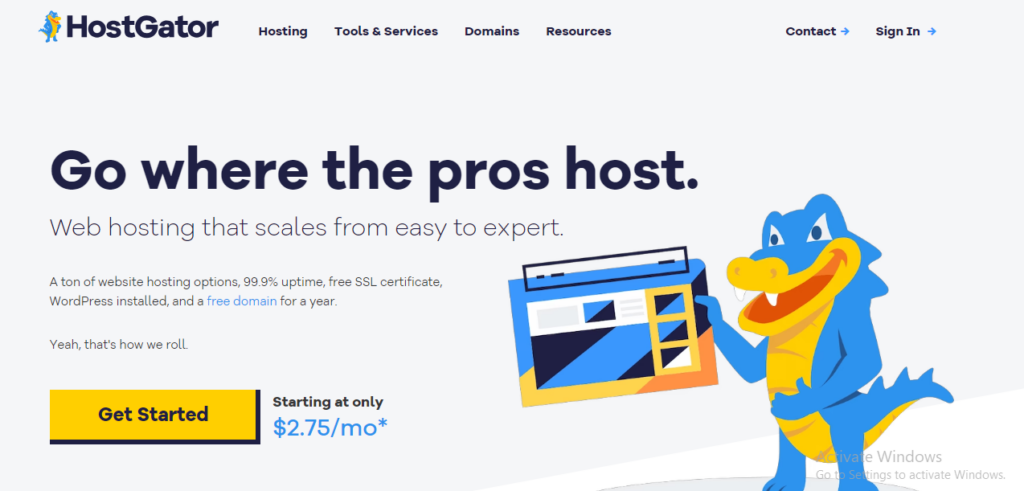 Hostgator(Fast and Reliable VPS hosting provider)