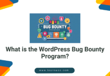 WordPress Bug Bounty