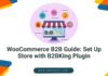 WooCommerce B2BKing Plugin for building a store