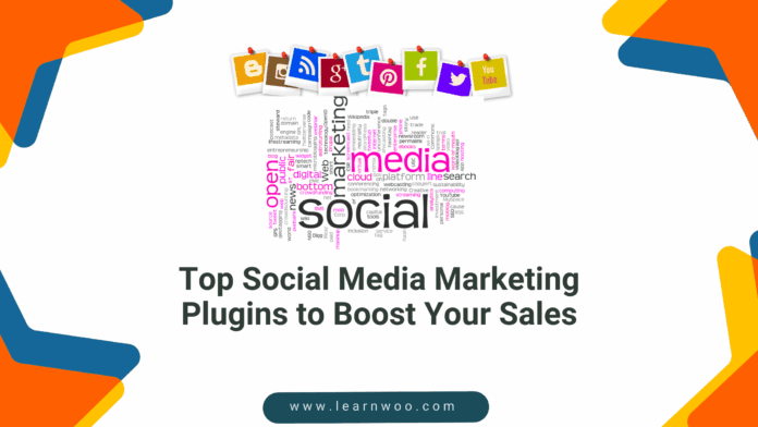 Social Media Marketing Plugins
