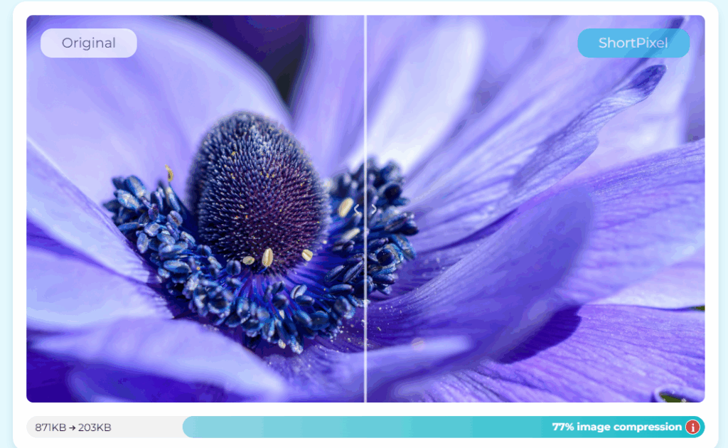 ShortPixel Image Optimizer 