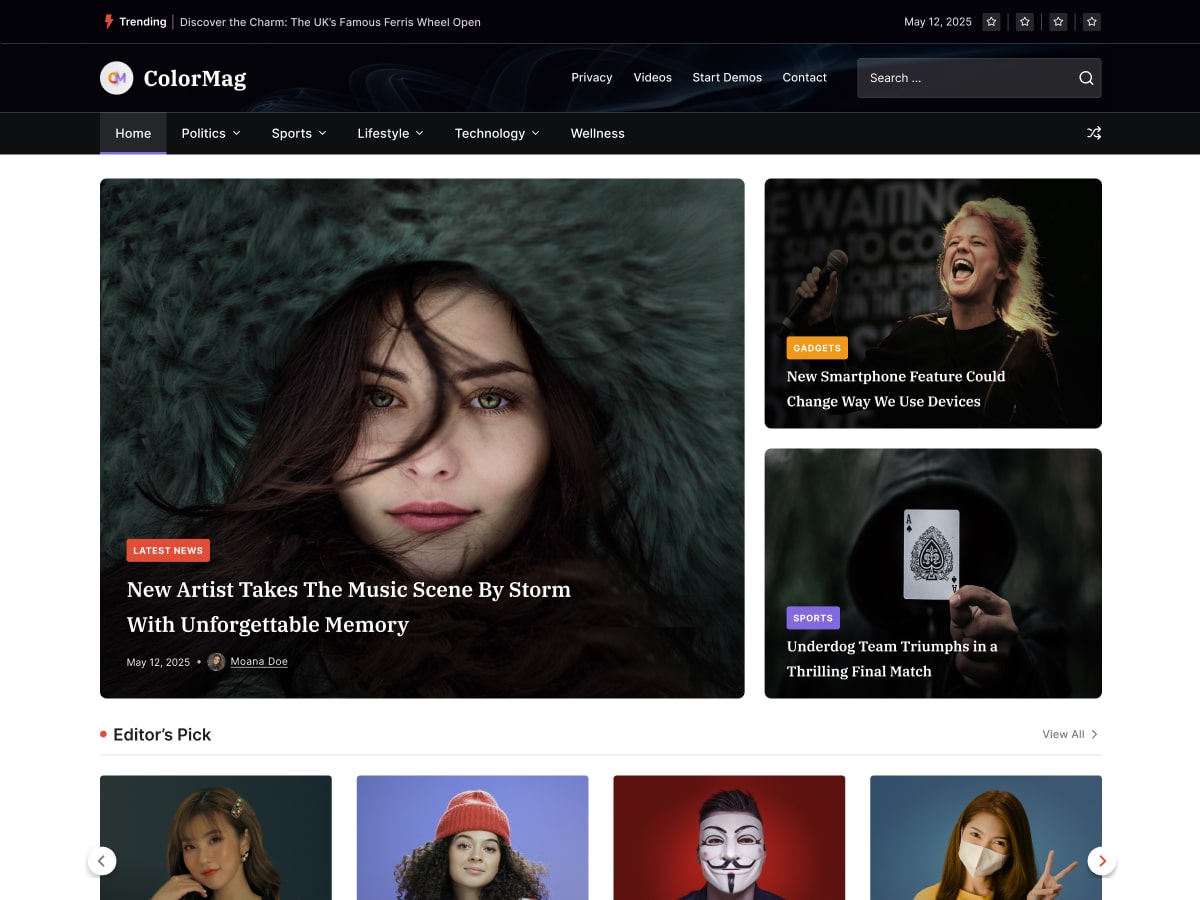 ColorMag; Best WordPress Themes for Blogs 